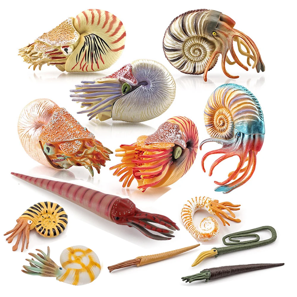 Kids Toys Reviews - Meeres-Tierfiguren Nautilus Figur Cameroceras Ammoniten Meereslebewesen