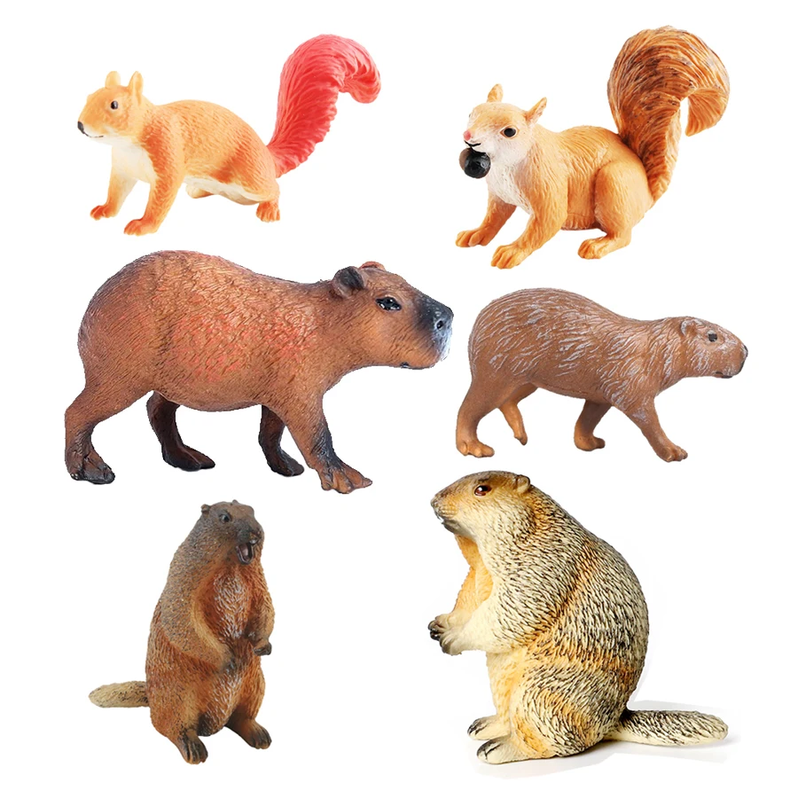 Capibara Capybaras Eichhörnche – Kids Toys Reviews Bewertung und Preis