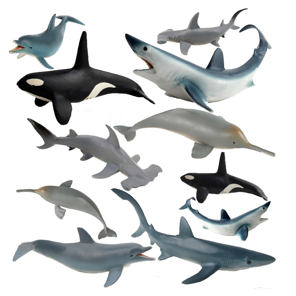 Gefährdete Meerestiere Figuren – Kids Toys Reviews Bewertung und Preis