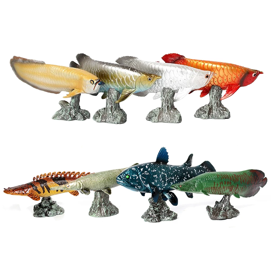 Arowana Pirarucu Coelacanth Bi – Kids Toys Reviews Bewertung und Preis