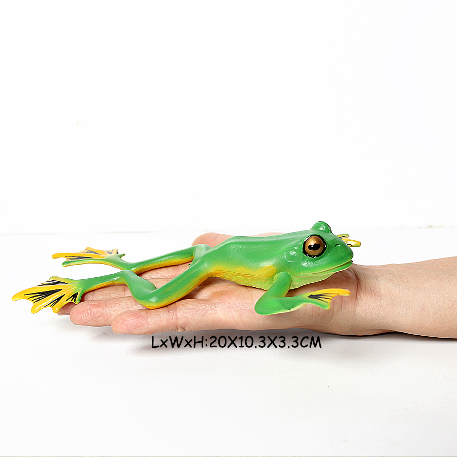 Frösche Modelle wilde Tiere Fi – Kids Toys Reviews Bewertung und Preis